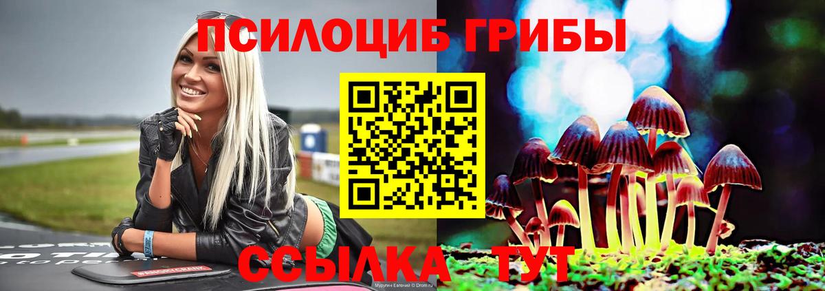Урюпинск  Псилоцибиновые грибы MAGIC MUSHROOMS  Вход с VPN  Псилоцибиновые грибы MAGIC MUSHROOMS 